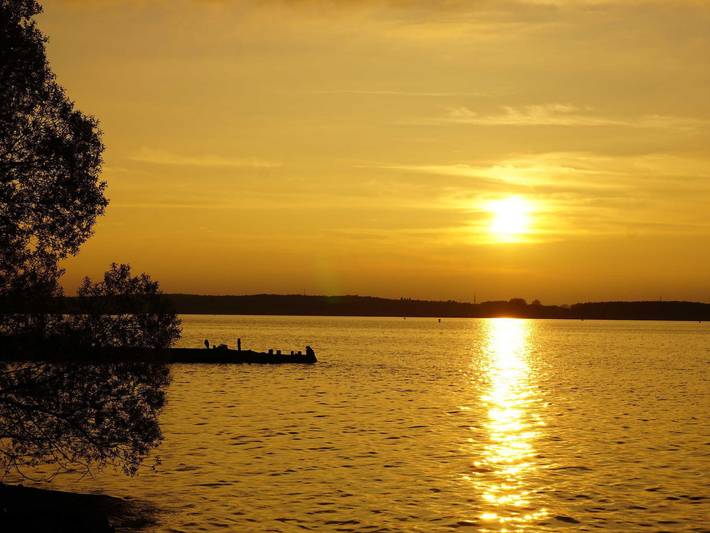 Ferienhaus für 6 Personen, mit Terrasse und Garten, mit Haustier in Mecklenburgische Seenplatte - 4