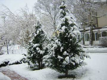 Ferienwohnung für 3 Personen in Baabe, Rügen, Bild 4