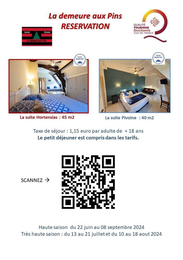 Location de vacances pour 3 personnes, avec jacuzzi ainsi que sauna et jardin à Lourdes - 2