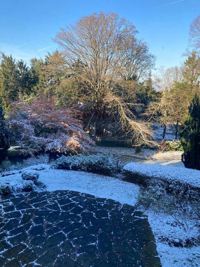 Double Room with Garden View in Mulhouse, Région de Mulhouse