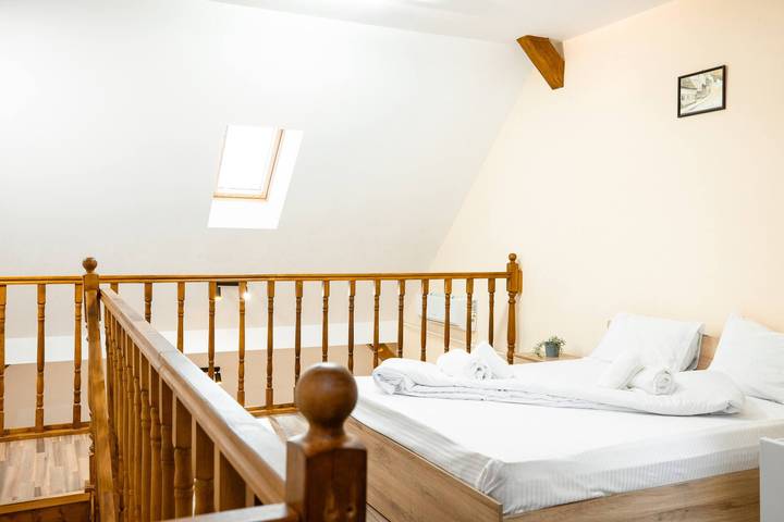 Gîte pour 4 personnes, animaux acceptés en Roumanie - 3
