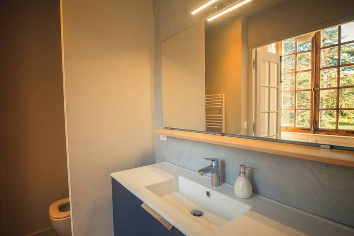 Gîte pour 16 personnes, avec jardin à Prinçay - 4