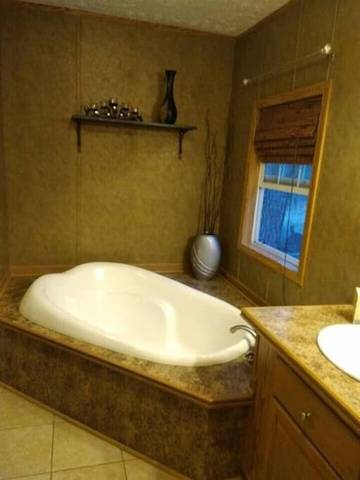 Vacation House for 6 Guests in Ozark Mountains, Arkansas, Picture 4