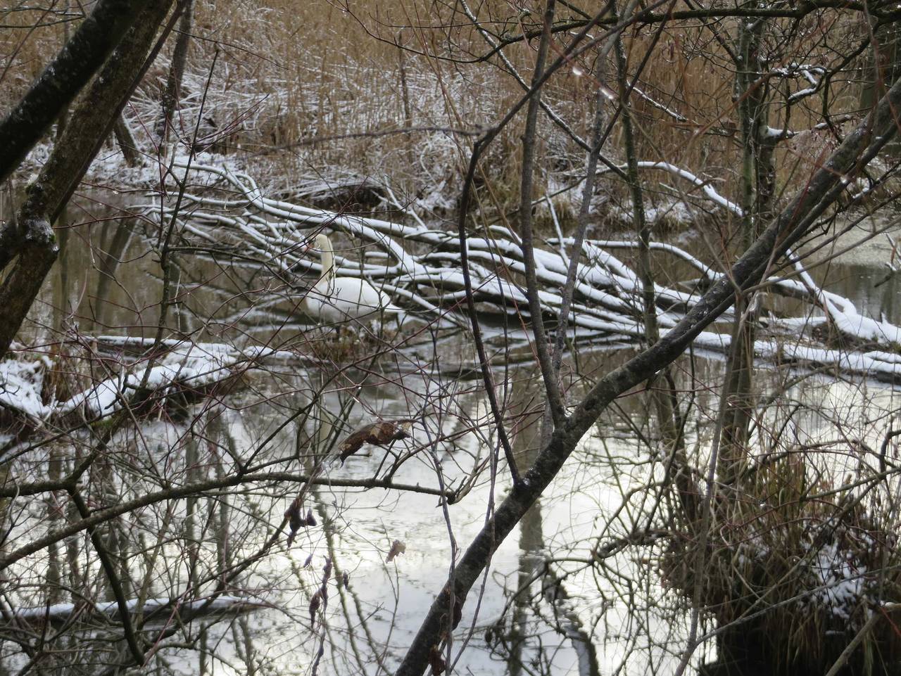Ganze Ferienwohnung, Fewo Merdin - Merdin in Europa-Park, Kappel-Grafenhausen