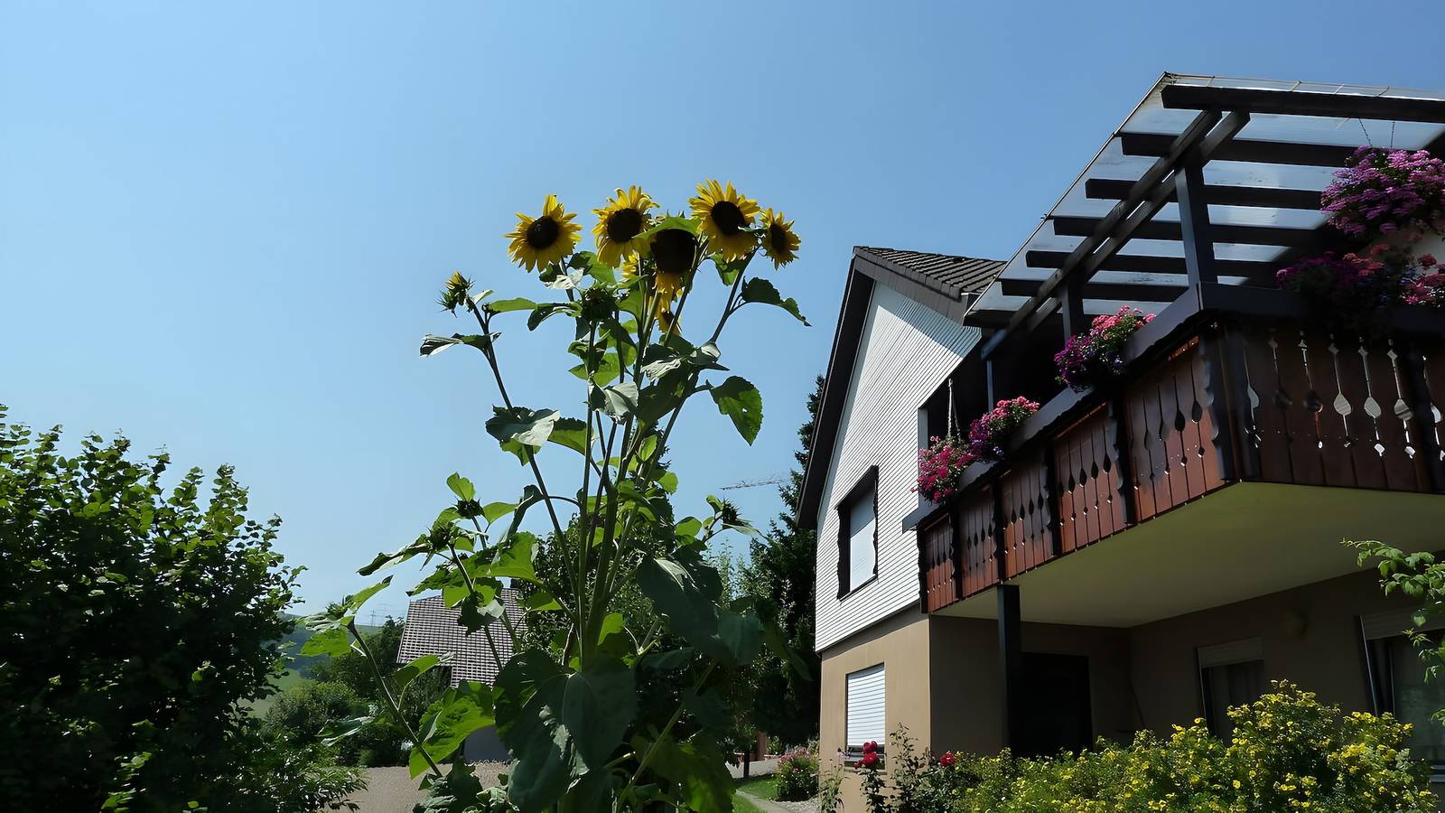 Ganzes Studio, Ferienwohnung für 2 personen (35 m²) in weilheim (baden-württemberg) in Weilheim, Südschwarzwald