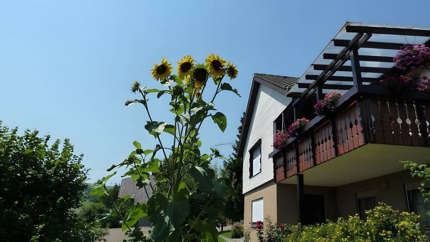 Studio für 2 Personen, mit Garten in Weilheim - 4