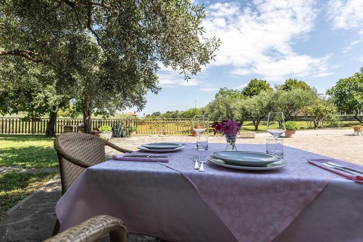 Maison d’hôte pour 2 personnes, avec jardin, animaux acceptés à Muggia - 4