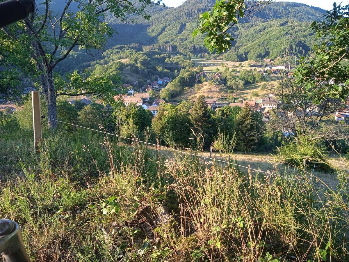 Appartement entier, Two-Bedroom Apartment in Steige, Région de Sélestat-Erstein