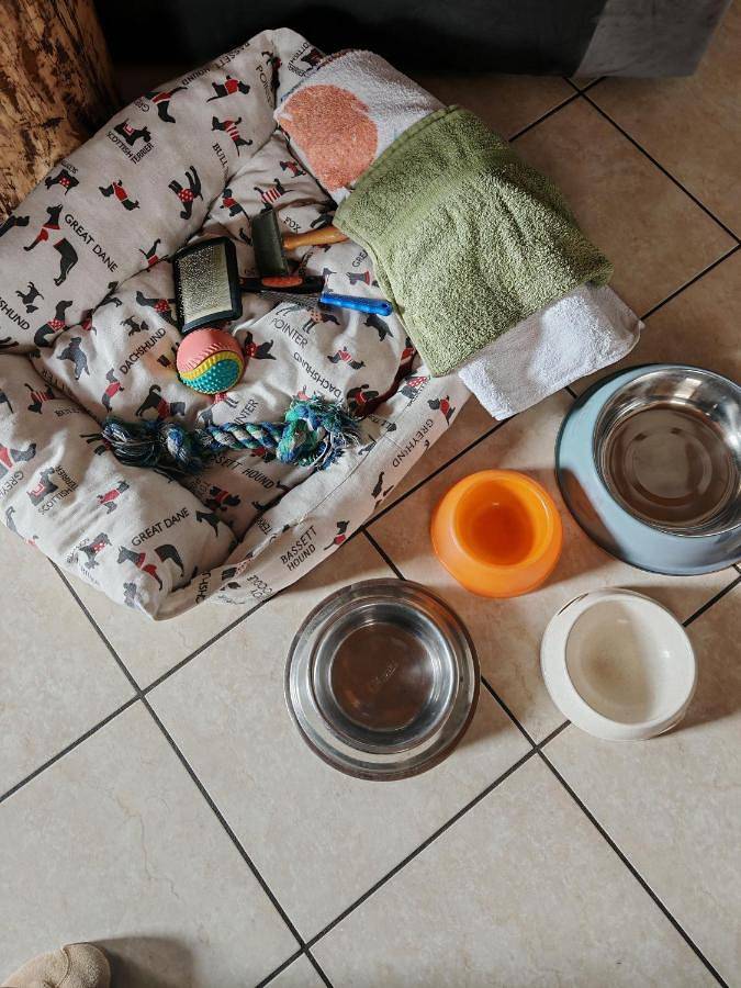 Location de vacances pour 5 personnes, avec vue et jardin, animaux acceptés à Capo di Ponte - 2
