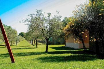 Gîte pour 4 personnes, avec jardin et vue, animaux acceptés à Corinaldo