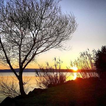 Ferienwohnung für 2 Personen, mit Seeblick und Ausblick am Bolsenasee