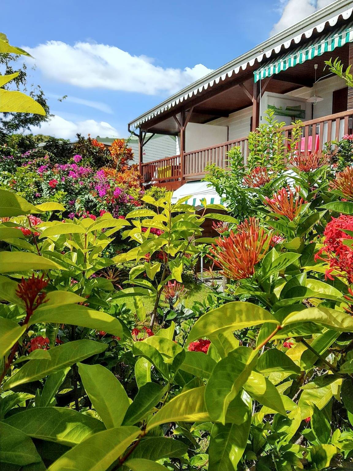 Estudio entero, Estudio encantador en Le Diamant - 30 m² - Piscina compartida in Le Diamant, Martinica