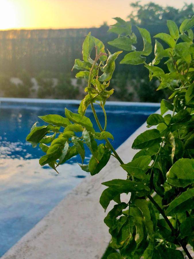 Casa rural para 6 personas, con Balcón y Terraza además de Jardín y Piscina en Villa de Otura - 3