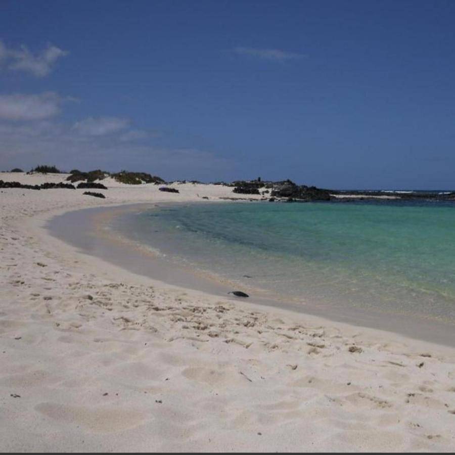 Apartamento entero, Apartamentos Albaula 5 in El Cotillo, La Oliva