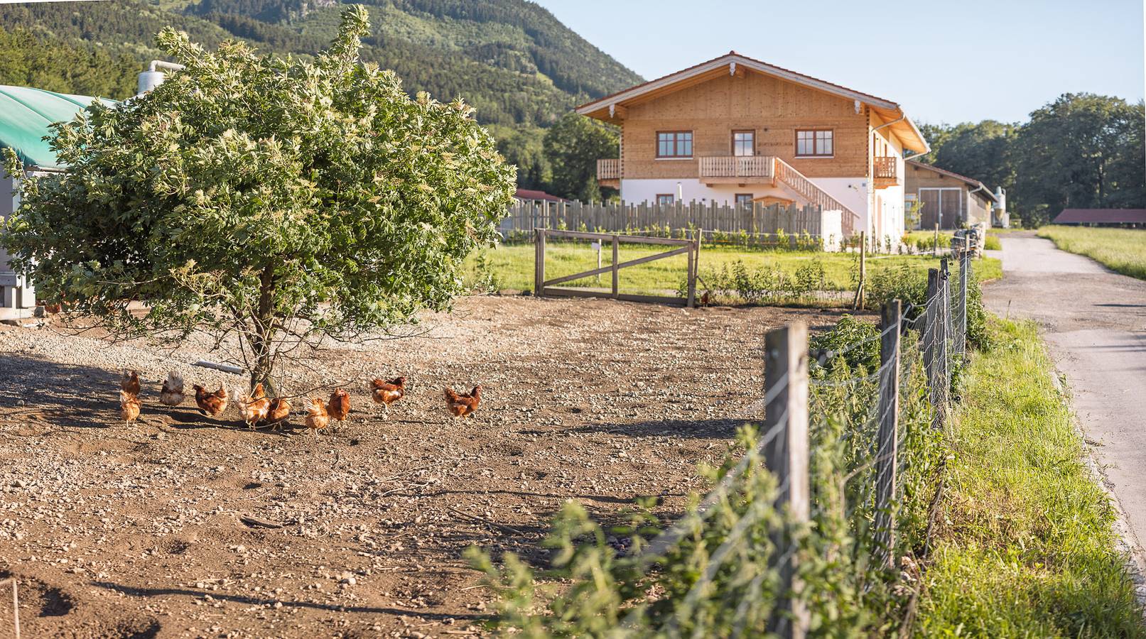 Ganze Ferienwohnung, Alpen Lodge Samerberg - Ferienwohnung Adler 42 qm für 4 Personen in Samerberg, Bayerische Alpen