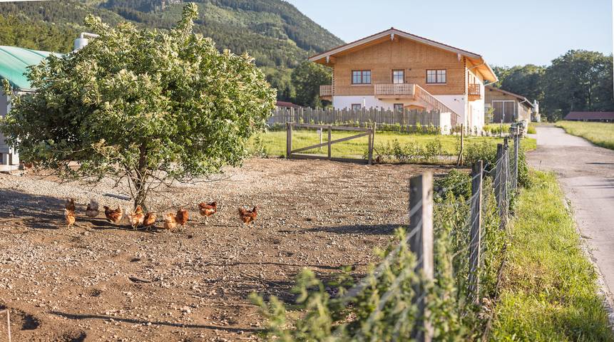 Ganze Ferienwohnung, Alpen Lodge Samerberg - Ferienwohnung Adler 42 qm für 4 Personen in Samerberg, Bayerische Alpen