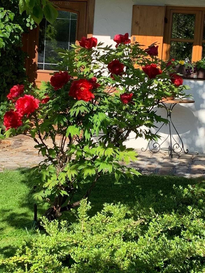 Ferienwohnung für 2 Personen, mit Terrasse und Garten in Landkreis Rosenheim - 4