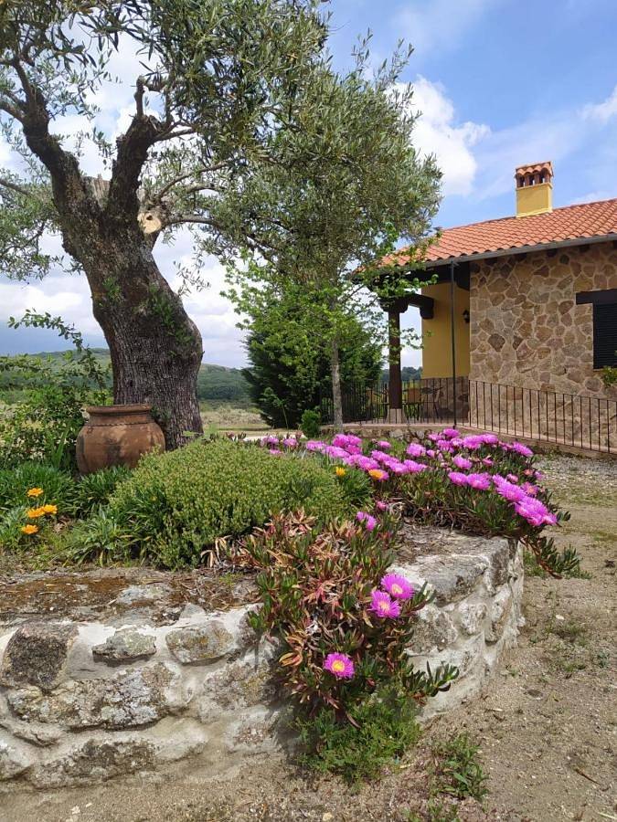 Casa rural con piscina para 10 personas, con vistas además de piscina y jardín en La Vera - 3