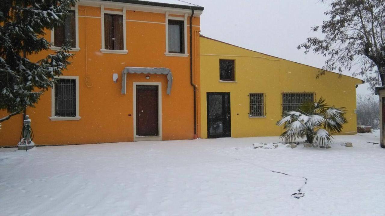 Apartment - Ground Floor in Nogara, Province de Vérone