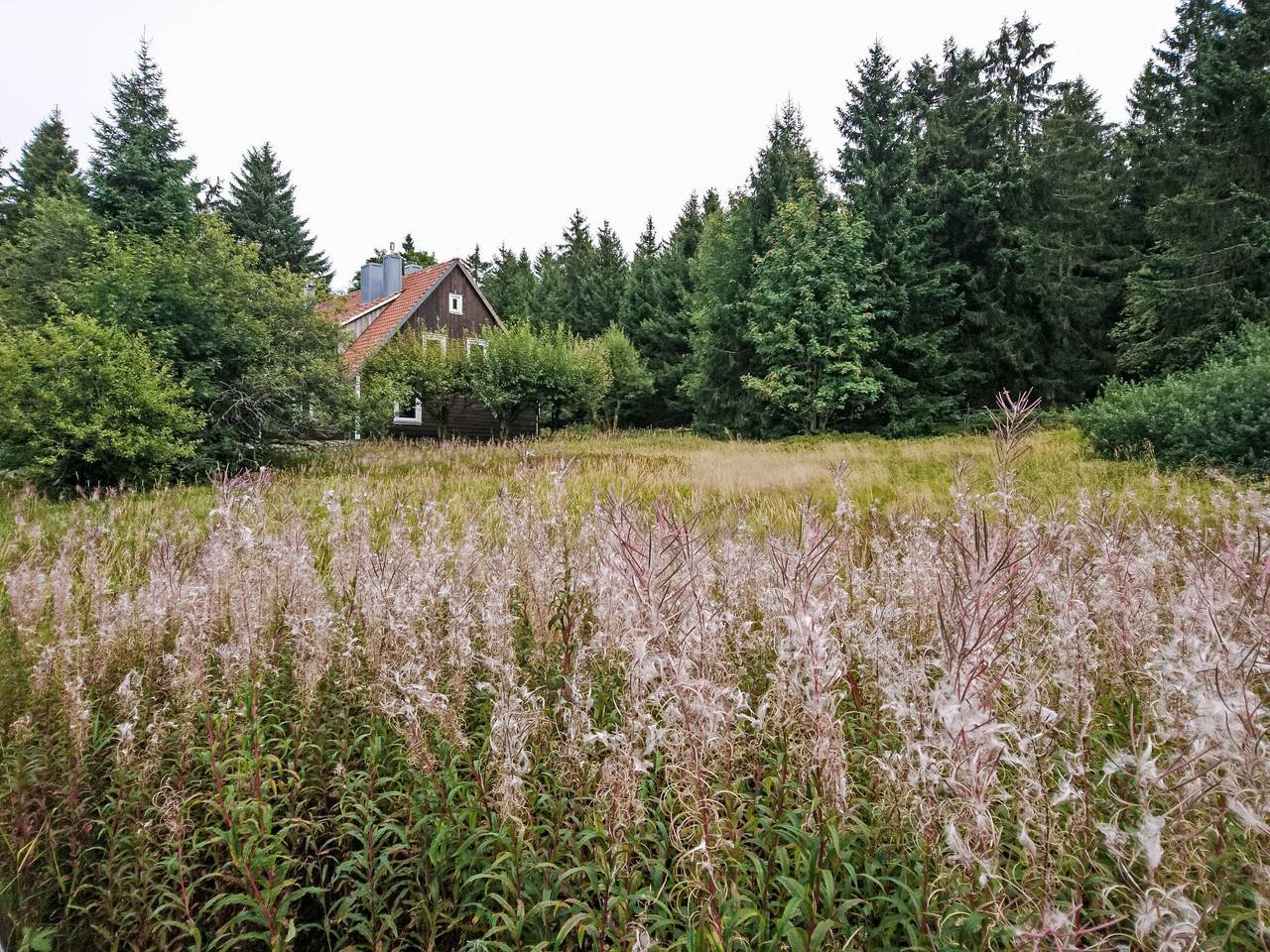 Ganze Wohnung, Appartement in Altenau mit Garten in Torfhaus, Harzvorland