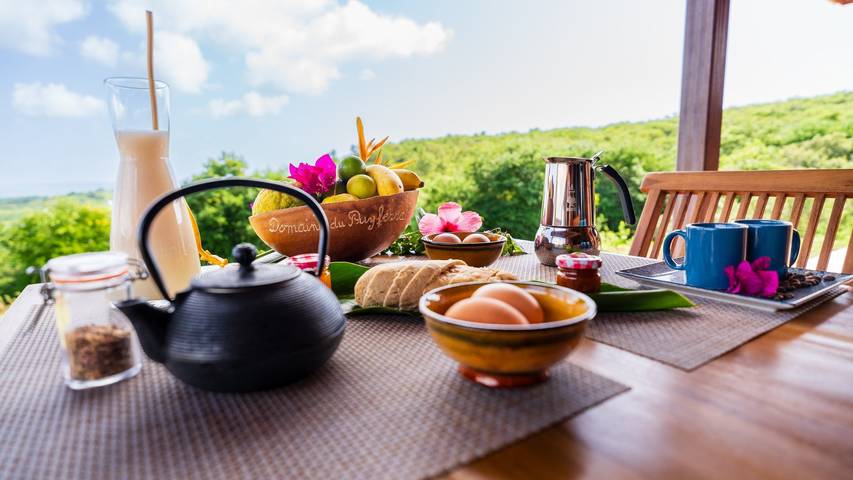 Chambre d’hôte pour 4 personnes, avec piscine et jardin en Martinique - 4