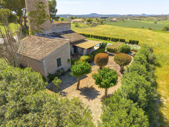 Villa Es Moli / Son Femenia in Santa Margalida, Mallorca Norden