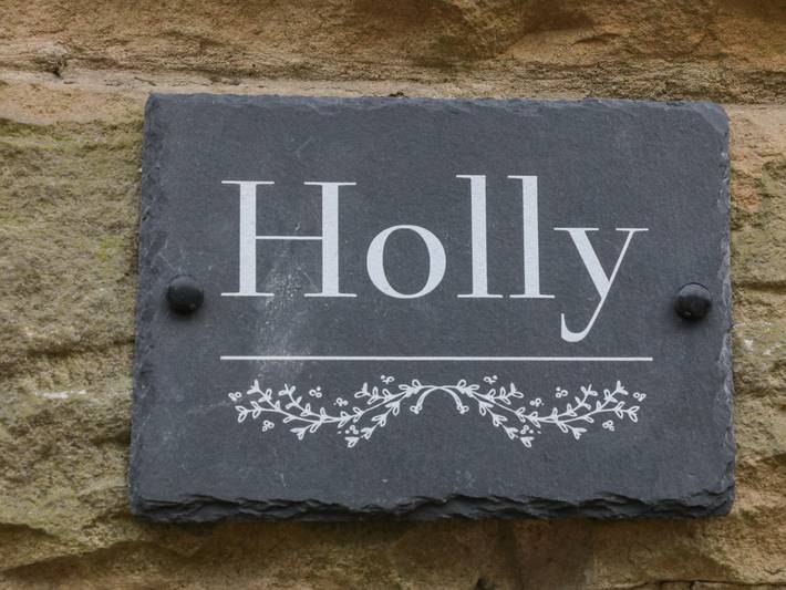 Gîte pour 4 personnes, avec jardin, animaux acceptés à Sheffield - 2