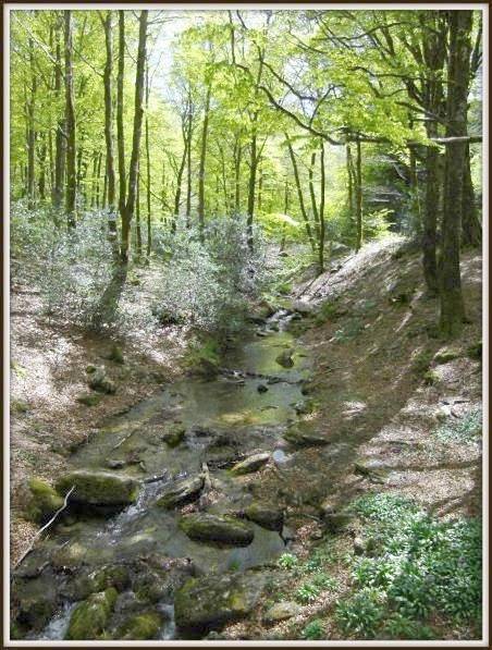 Location de vacances pour 8 personnes, avec jardin, animaux acceptés à Le Soulié