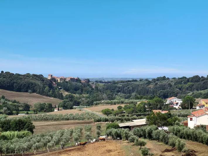 Villa per 6 persone, con piscina e giardino a Bibbona