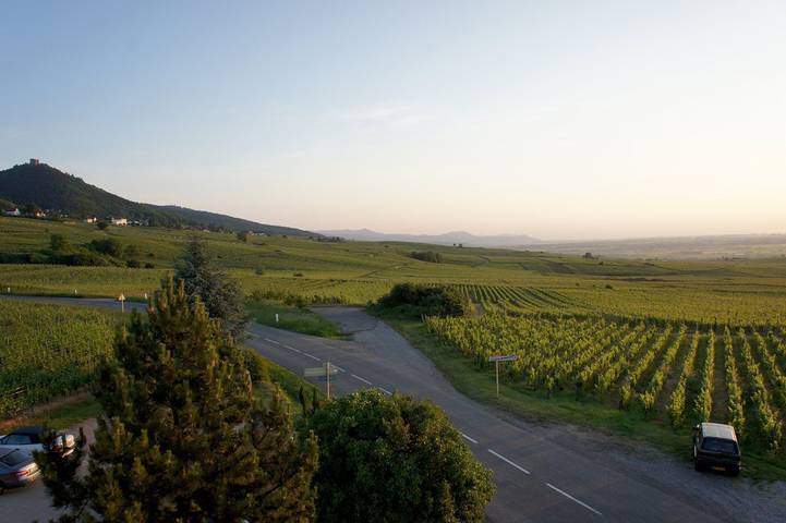 Chambre d’hôte pour 2 personnes, avec jardin dans Grand Est - 3