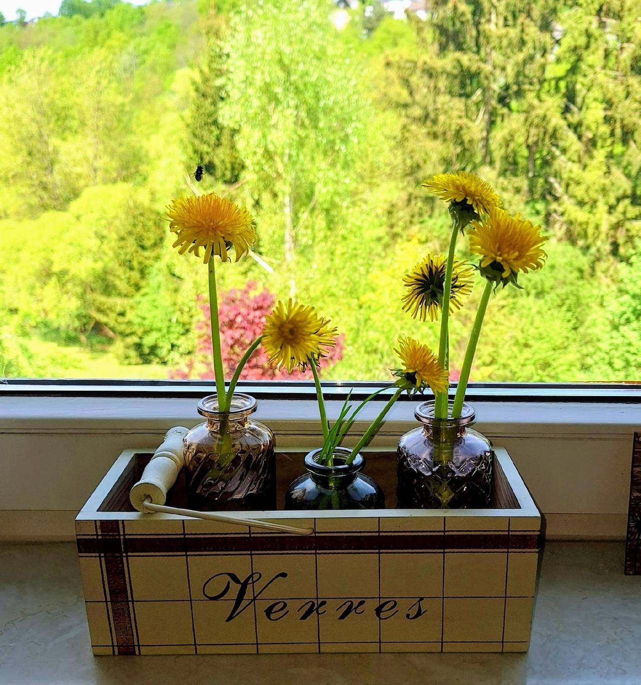 Ganze Ferienwohnung, Fewo "Ferienwohnung Sander" in Kirchen (Sieg), Altenkirchen & Umgebung