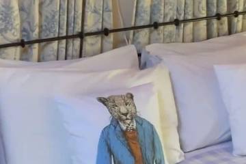 Cottage for 6 People in County Wexford, Leinster, Photo 2