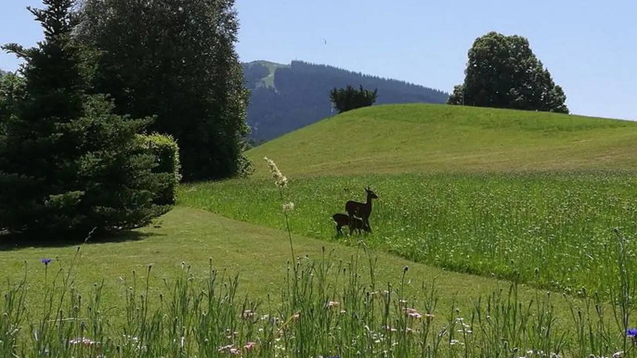 Ganze Ferienwohnung, Ferienwohnung für 2 Personen (70 m²) in Bad Kohlgrub in Bad Kohlgrub, Bayerische Alpen