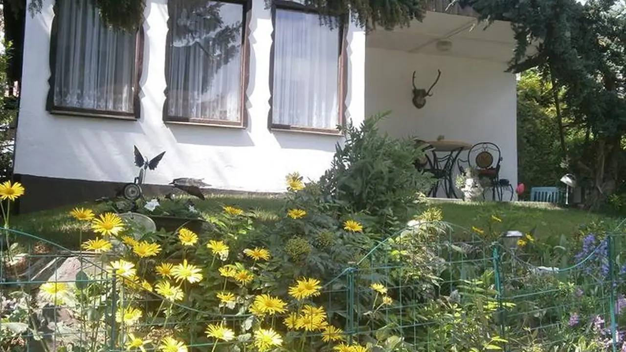 Ferienhaus für 4 Personen (45 m²) in Friedrichsbrunn in Friedrichsbrunn, Thale