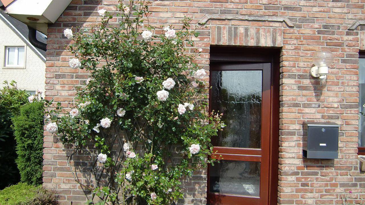 Ganze Ferienwohnung, Ferienwohnung für 1 Personen (70 m²) in Tinnum, Sylt (Gemeinde)