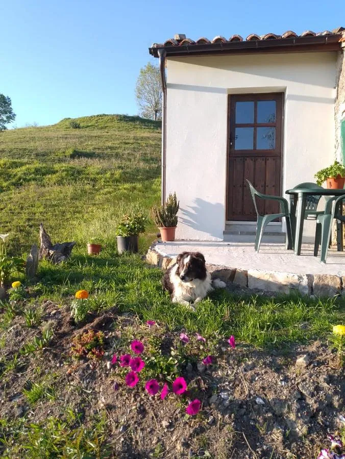 Casa de vacaciones para 4 personas, con vistas y jardín - 1