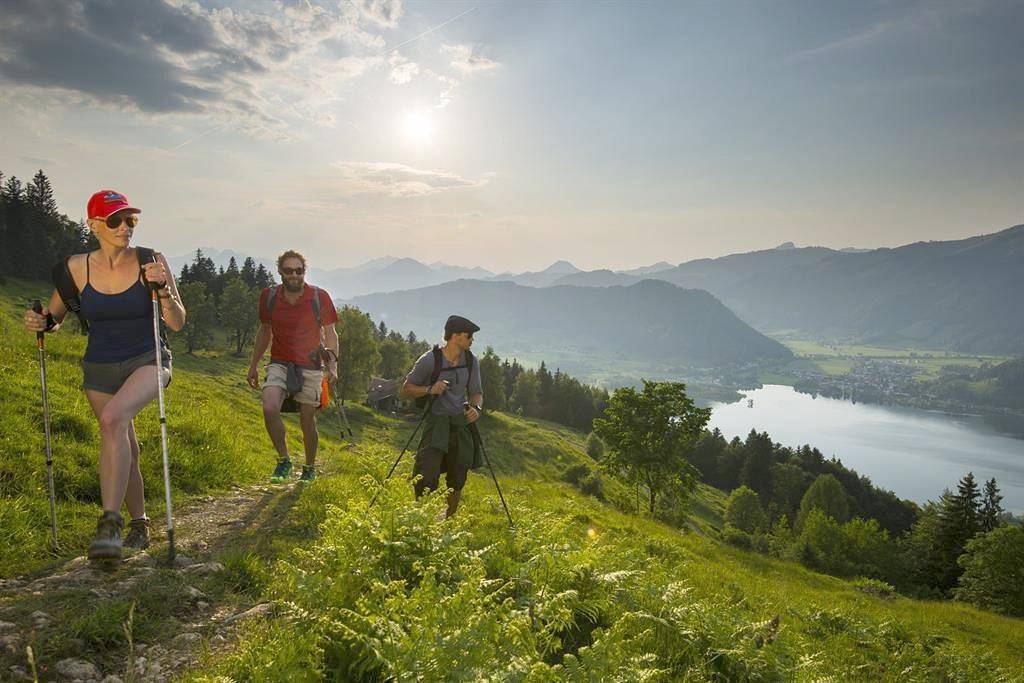 Ganze Ferienwohnung, App."Wandberg"/Wohn-Schlafraum/Du/Wc in Walchsee, Kaisergebirge