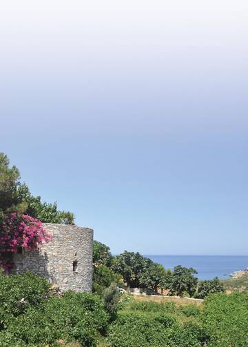 Maison d’hôte pour 3 personnes, avec vue ainsi que terrasse et jardin, animaux acceptés dans Naxos