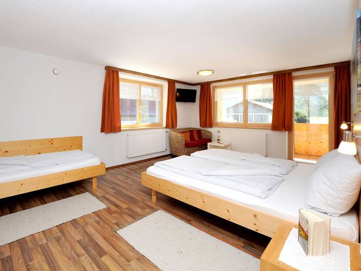 Ferienwohnung für 5 Personen, mit Garten und Balkon, kinderfreundlich in Schoppernau - 3