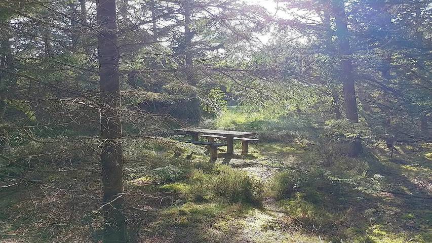 Ferienhaus mit Meerblick für 11 Personen, mit Whirlpool und Terrasse in Nordwestjütland - 4
