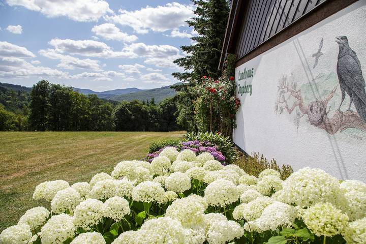 Pension für 3 Personen, mit Garten und Sauna sowie Ausblick, mit Haustier in Poppenhausen - 3