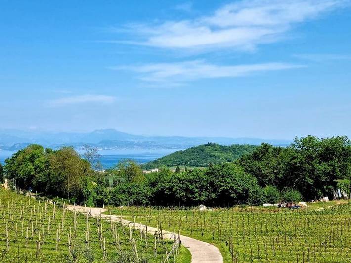 Gîte pour 4 personnes, avec jardin et piscine ainsi que vue et vue sur le lac à Lonato del Garda - 3