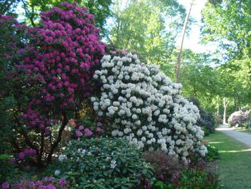 Ferienwohnung für 2 Personen in Graal-Müritz, Fischland - Darß - Zingst, Bild 4