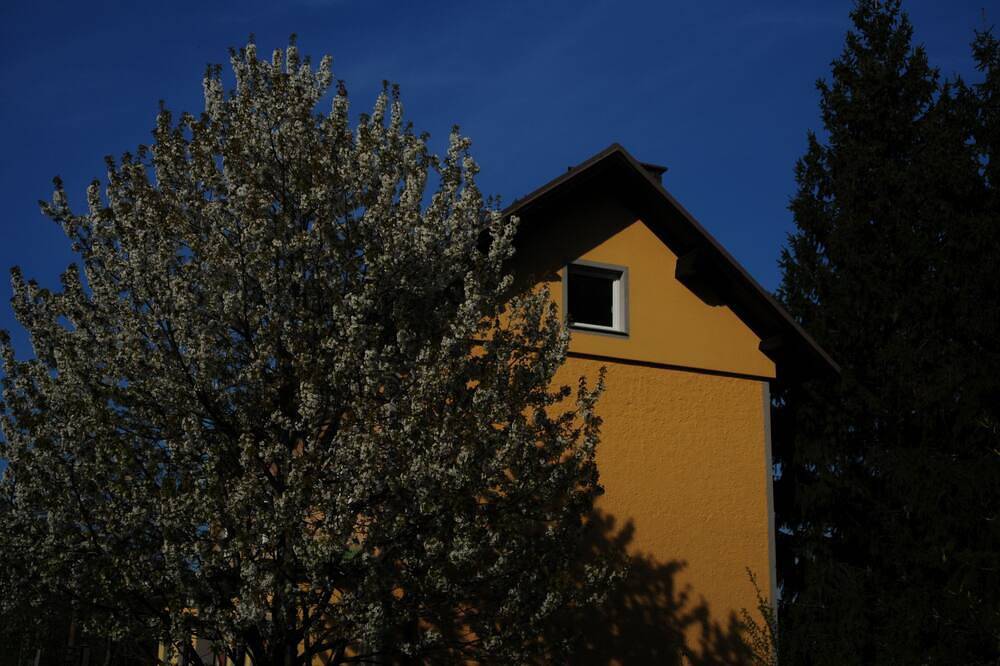 Ganze Wohnung, Wohnung im Obergeschoss. in Karawanken und Bachergebirge, Sankt Jakob im Rosental