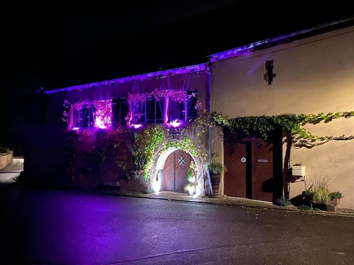 Gîte pour 2 personnes, avec terrasse et jacuzzi à Pfaffenheim - 3