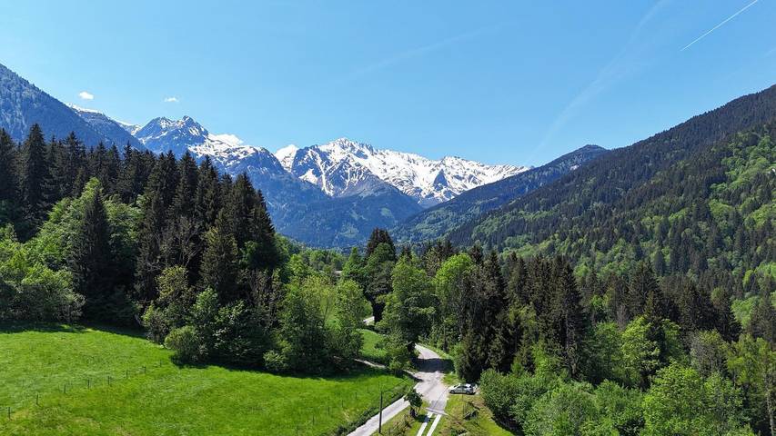Les Dahus Tranquilles, Gite tout compris in La Ferrière, Isère