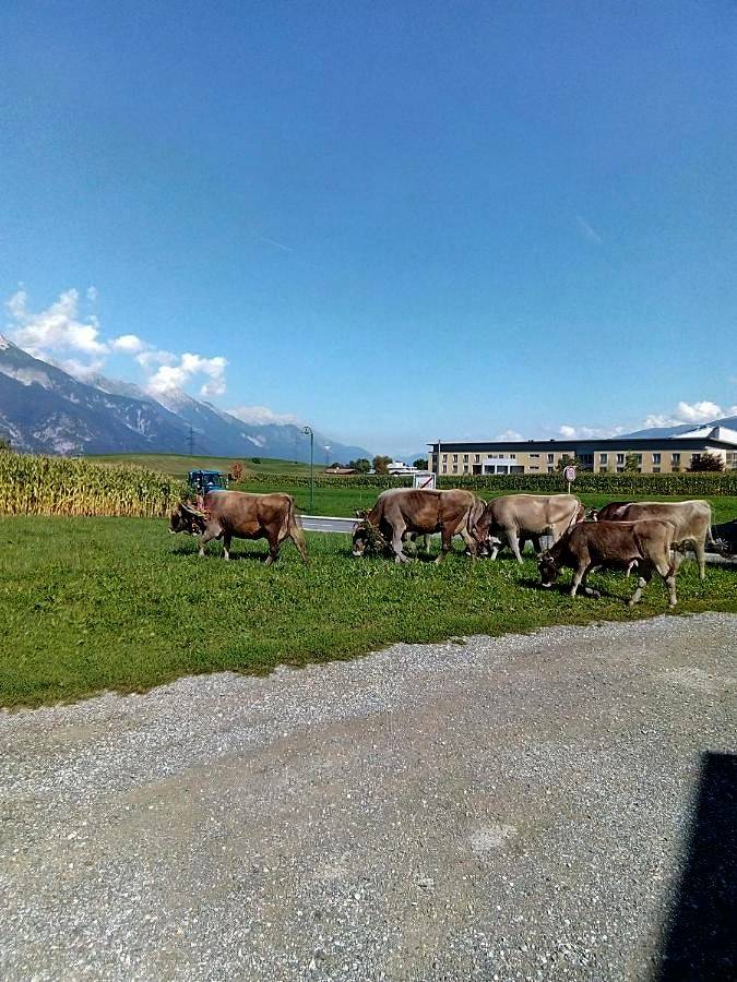 Ferienwohnung für 5 Personen, mit Ausblick und Garten in Axams - 4