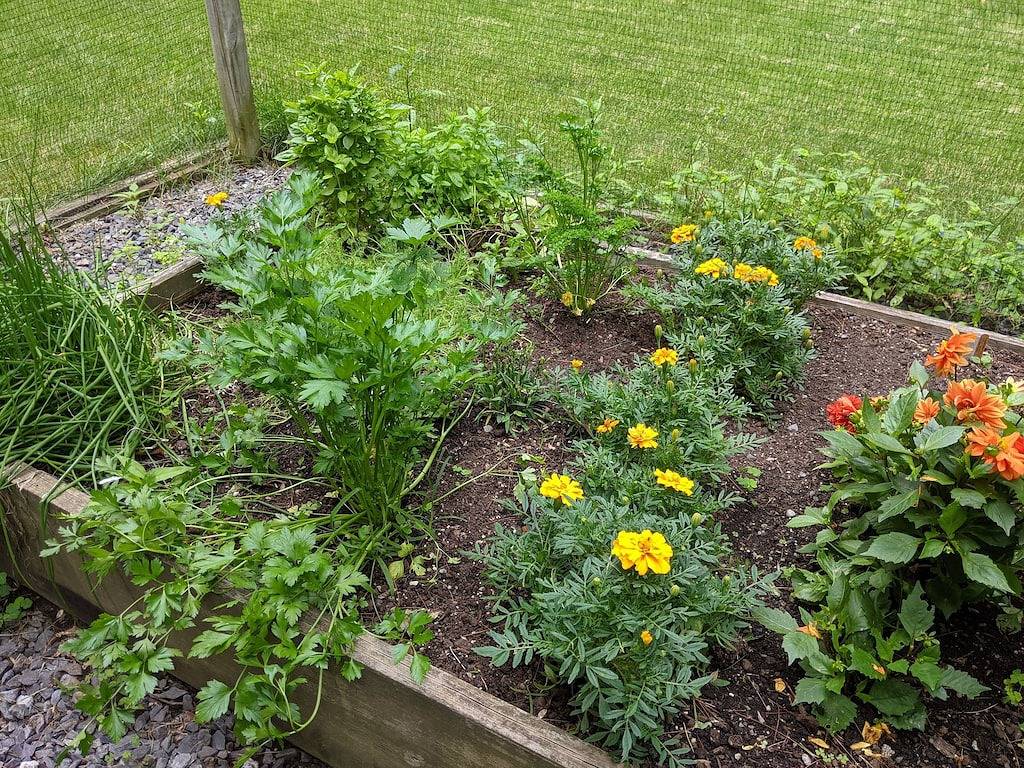 Ganze Wohnung, Spacious 1-bedroom apartment in Lexington Ma, surrounded by nature trails in Lexington (MA), Massachusetts