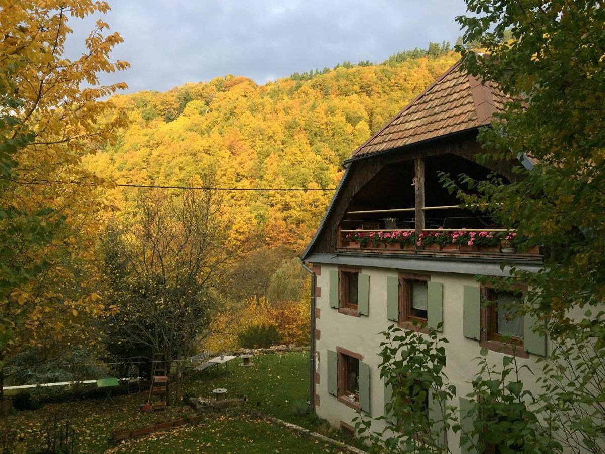 Standard Twin Room with Mountain View in Fréland, Parc naturel régional des Ballons des Vosges