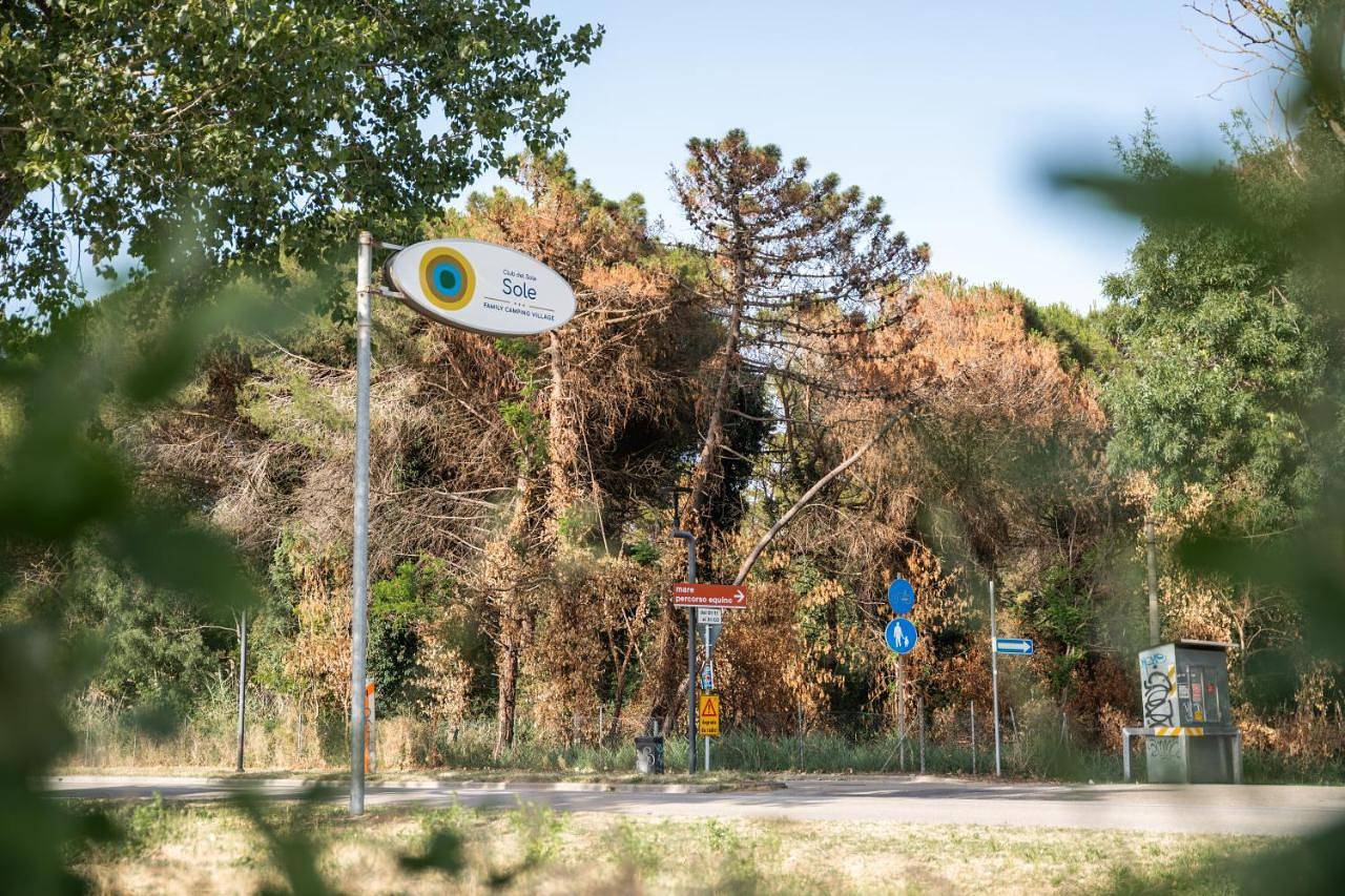 Club del Sole Marina Romea Easy Camping Village in Marina Romea, Provincia di Ravenna